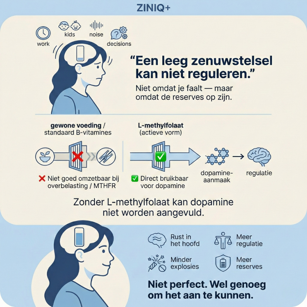 ZINIQ+ MethylFocus Volwassenen | Geactiveerd folaat voor rust, focus en mentale veerkracht
